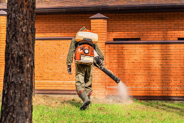 Trusted Bed Bug Control service in Prudhoe Bay, AK - Nex Pest Control